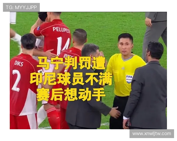 马宁自信争世界杯主裁执法权 马宁自信争世界杯主裁执法权